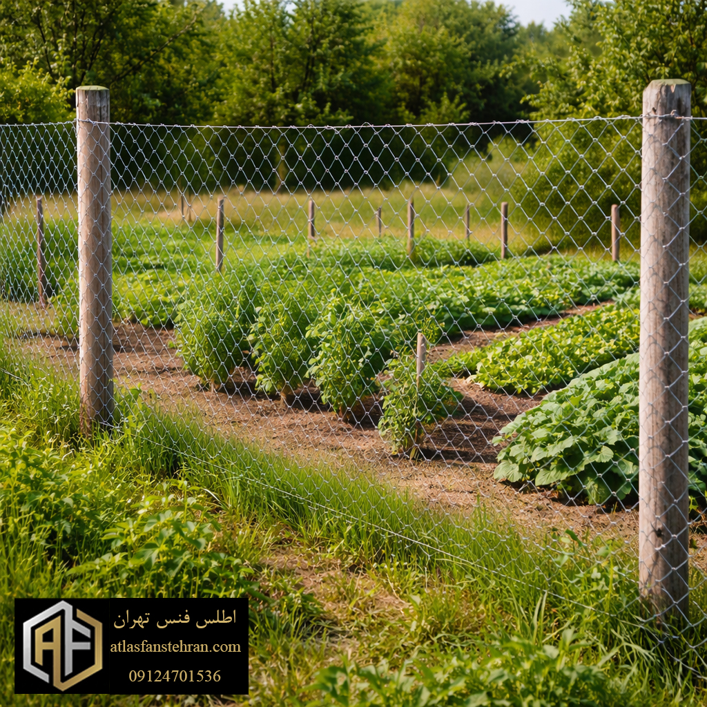 توری-فرنگی-اطلس-فنس-تهران-10