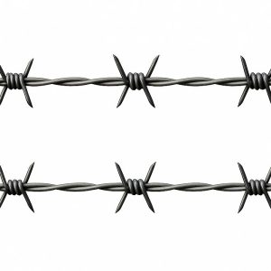 سیم خاردار خطی سوزنی